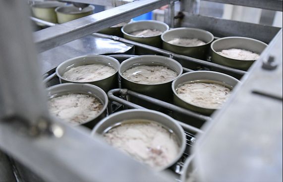 ކަނޑުއޮތްގިރީގައި އަލުން މަސް ބަންދު ކުރަން ފަށަނީ