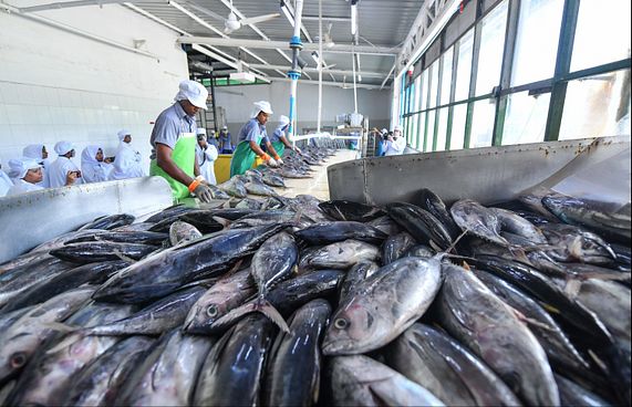 ފަސް އަހަރުގެ ތެރޭގައި މިފްކޯއަށް ބިލިއަނުގެ ގެއްލުމެއް
