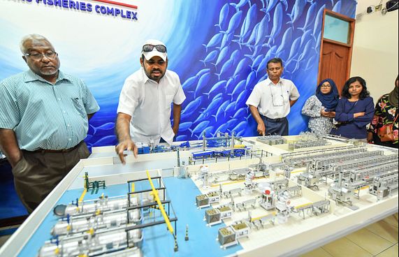 މުވައްޒަފުންނަށް "ވިސުލްބްލޯ" ކުރެވޭނެ ގޮތް ހަދައިފި