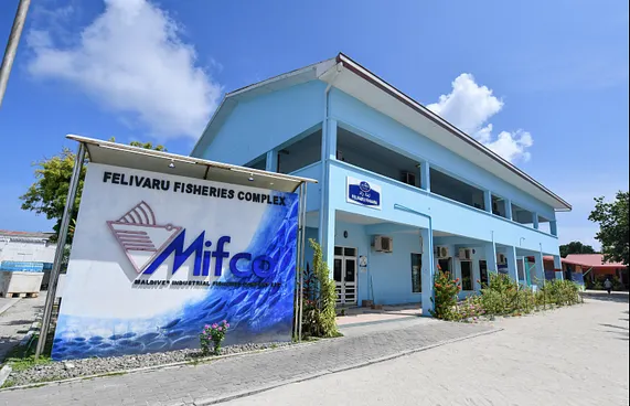 މިފްކޯއިން ވެސް ތެޔޮ ވިއްކާ އަގު ބޮޑުކޮށްފި