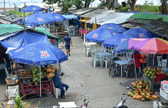 ސާފުތާހިރުކަން ކުޑަވުމުން ގާޑިޔާތައް ނަގަން އަންގައިފި