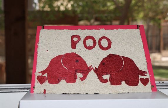 އެތުގެ ނަޖިހުން ތައްޔާރުކުރަނީ ކަރުދާސް