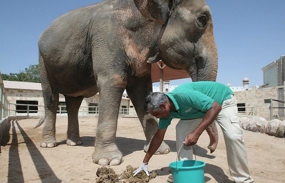 ކާބޯތަކެތި ދަތިވެ ޒިމްބާބްވޭގައި 200 އެތް ކަތިލަނީ