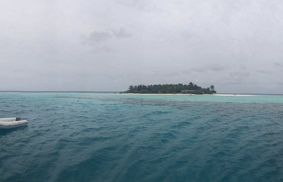 ފުށިދިއްގާއަށް ފުލުހުން ގޮސް މައްސަލަ ތަހުގީގު ކުރަނީ