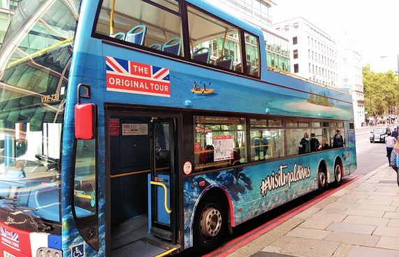 ޔޫކޭގެ ބަސްތަކުގައި ރާއްޖެ އިޝްތިހާރުކުރަން ފަށައިފި