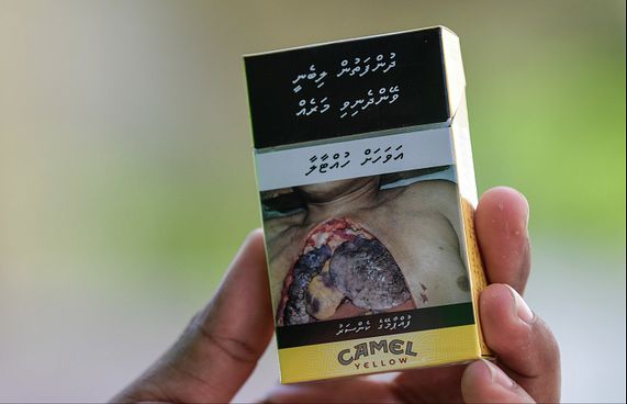 ވަގަށް އެތެރެކުރަނިކޮށް އެއްލައްކަ ސިނގިރޭޓު އަތުލައިފި