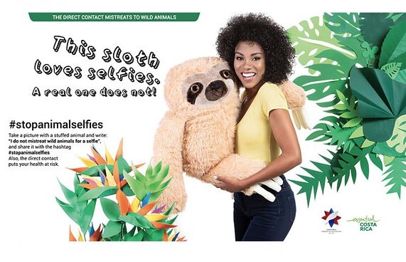 ޖަނަވާރުންނާ އެކު ސެލްފީ ނެގުމާ ދެކޮޅު ކެމްޕޭނެއް