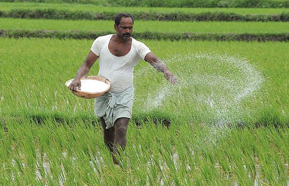 ދަނޑުތައް ހިމާޔަތްކުރަން ކުއްތާގެ އަޑު