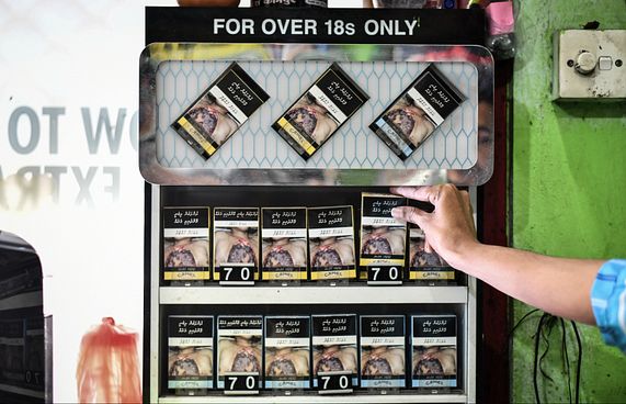 130އަށް ވުރެ ގިނަ ސިނގިރޭޓު ކާޓަން ވަގަށް ނަގައިފި