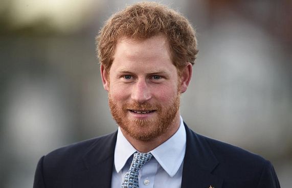 ޕްރިންސް ހެރީ އަށް ބާގަ ކިންގުން ވަޒީފާއެއް!