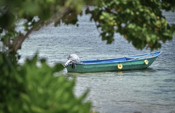 ކަނޑުހުޅުދޫ، މަސްތުވާތަކެތީގެ ހަބަކަށްވެ ކަންބޮޑުވުން