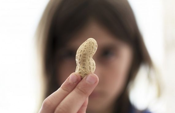 ޕީނަޓް އެލާޖީ އަށް ހެދި ބޭހަކަށް ހުއްދަ ދީފި