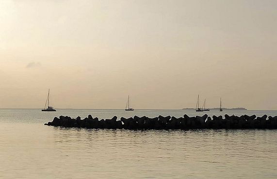 ފީތައް ކުޑަކުރާތީ އުލިގަމަށް ޔޮޓްތައް އަންނަން ފަށައިފި