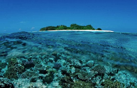 މިހާރުގެ ހާލަތު އޮވެގެން ފަރުތައް ނެތިގެން ހިނގައިދާނެ