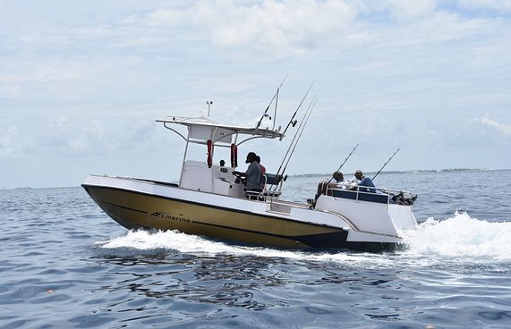 އަލް ޝާލީން ޒުވާނުންނާއި ގެސްޓްހައުސްތަކަށް ޑިސްކައުންޓް