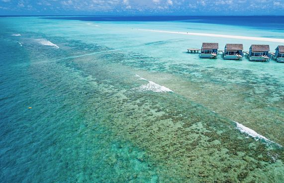 ކޮވިޑް-19:ރާއްޖެއިން ޕޮޒިޓިވްމީހުންގެ އަދަދު 8 އަށް