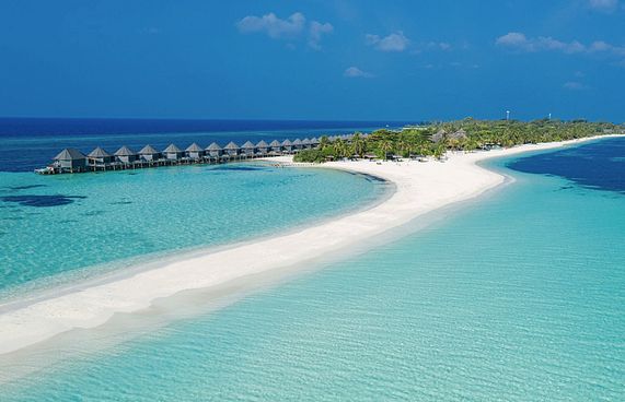 ކޮވިޑާ ހެދި ވަކިކުރިމީހުން އިޔާދަކުރަން އިލްތިމާސްކޮށްފި