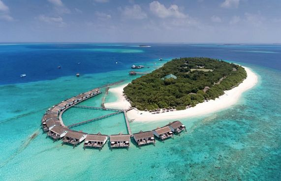 ރީތި ބީޗް އަނެއްކާ ވެސް މޮނިޓަރިންނަށް