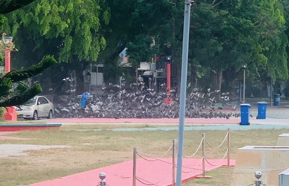 ފުލުހުން ކޮތަރުތަކަށް ކާންދޭން ފަށައިފި