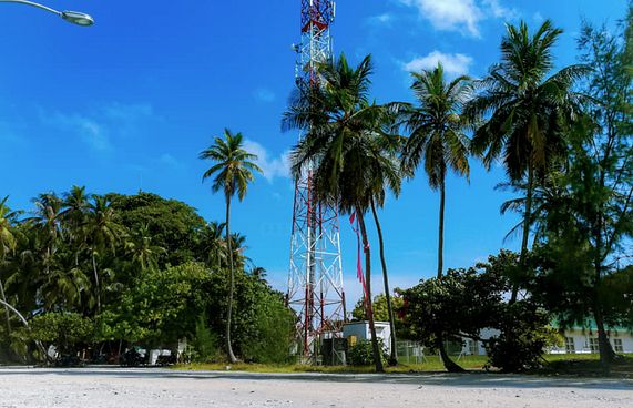 ގޯނާ އަށް 5 އަހަރު، އެންމެ ފަހުން މަރުގެ ހަމަލާއެއް
