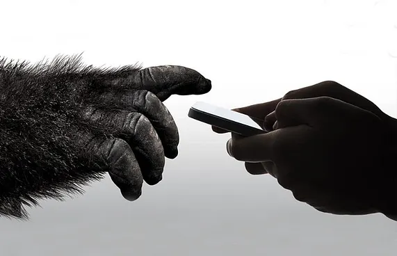 ގޮރިއްލާ ގްލާސްއަށް ނަންބަރުގެ ބަދަލުގައި ނަމެއް