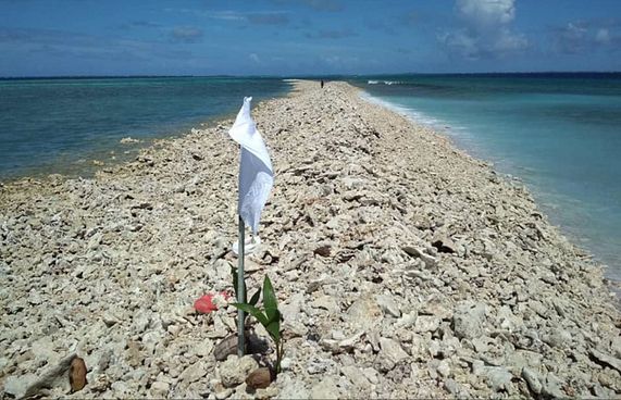 މީދުއަށް އުދައާ އެކު ލިބުނީ ދިގު ހުރާގަނޑެއް!