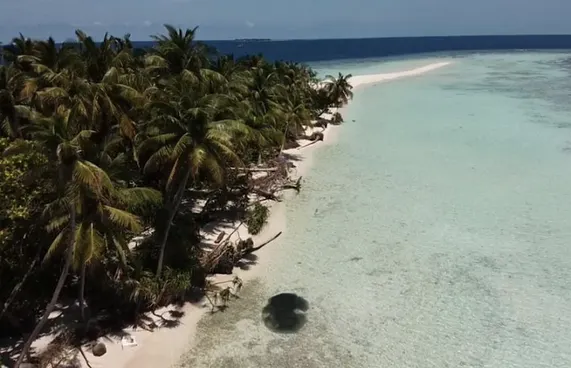 އޮމަދޫން މާލެ ގެނައި މީހަކު ކޮވިޑަށް ޕޮޒިޓިވް ވެއްޖެ