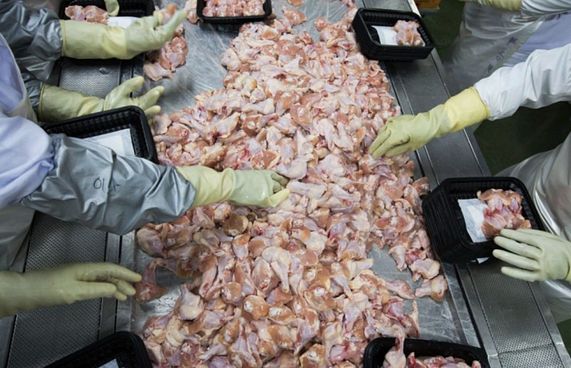 ބްރެޒިލުން އެތެރެކުރި ކުކުޅު ކޮރޯނާވައިރަހަށް ޕޮޒިޓިވް