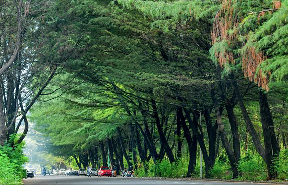 ބޮޑު ބަދަލެއް އަންނަވަރަށް ގަހެއް ނުނަގާނަން:އެޗްޑީސީ