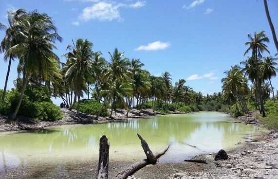 އައްޑޫގެ ހަތަރު ސަރަހައްދެއް ހިމާޔަތްކުރަން ނިންމައިފި