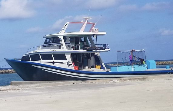 ހަތިޔާރާ އެކު މަސް ދޯންޏަށް އެރި އެންމެން ދޫކޮށްލައިފި