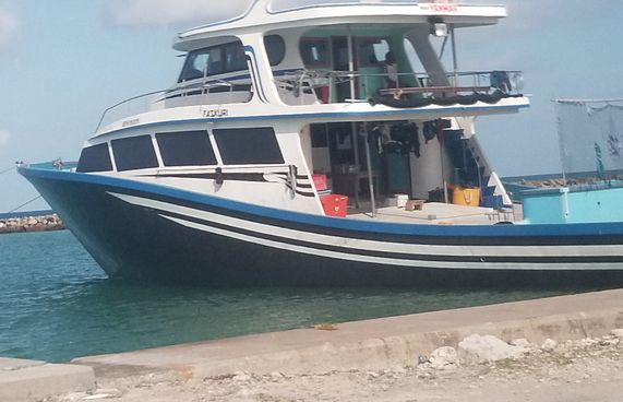 ވެރިފަރާތާ މަސް ދޯނި ހަވާލުކުރަން ވަގުތީ އަމުރެއް