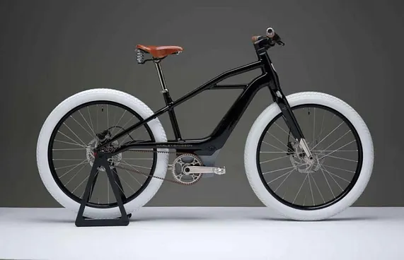 ހާލީ-ޑޭވިޑްސަނުން އިލެކްޓްރިކް ބައިސްކަލް ހަދަނީ