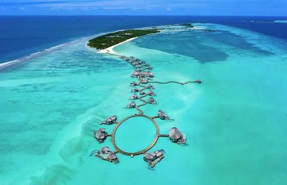 ސޮނެވާގެ ފޮލޯވަރުންގެ އަދަދު މިލިއަނަކަށް