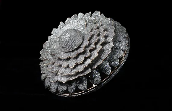 އެންމެ ގިނަ ޖަވާހިރު ޖެހި އަނގޮޓި އިންޑިއާގައި