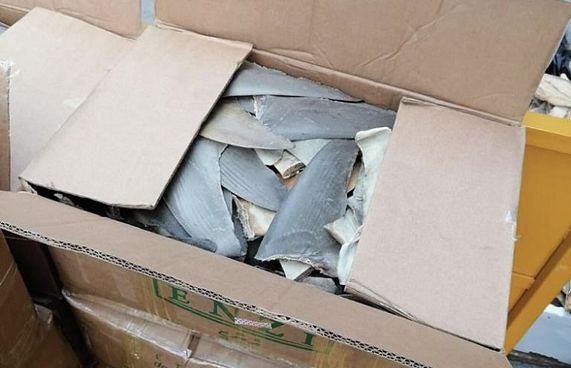 މިޔަރު އުރަހަ ބޭރުކުރި ބަޔަކު ހާމަކުރާނީ ތަހުގީގަށްފަހު