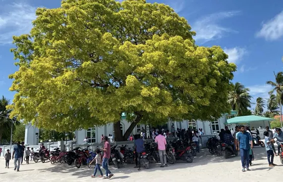 ދެއްވަދޫ ރަސްގެފާނުގެ މަގުބަރާ ބަދަލުކޮށްދޭން އެދެފި