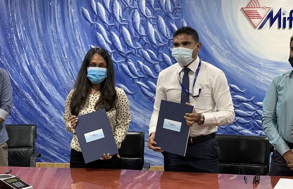 ޗަމްޕާ އިން ހޯރަފުށީގައި އައިސް ޕްލާންޓެއް ހަދަނީ