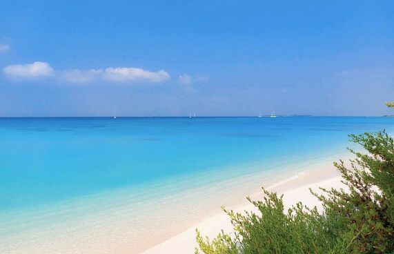 އުލިގަމުގައި އެމްޕީއެލްއިން ޔޮޓް މެރީނާއެއް ހަދަނީ