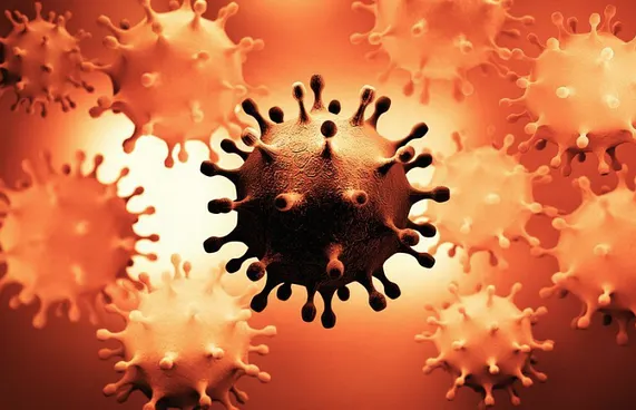 ކޮވިޑްގެ އަސްލު ވައިރަސް މިހާރަކު ނުފެނޭ