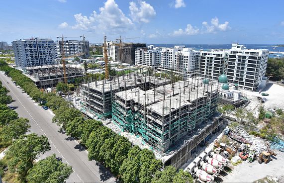 ރީތިގަސް ޓަވަރުތައް ހަދާނީ ވިއްކައިގެން ލިބޭ ފައިސާ