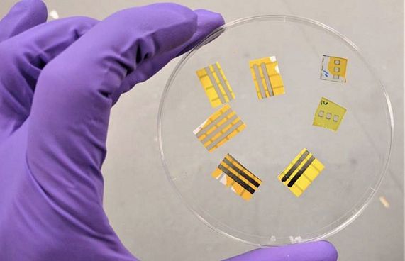 "ސްމާޓް ޓެޓޫ" އުފައްދައިފި