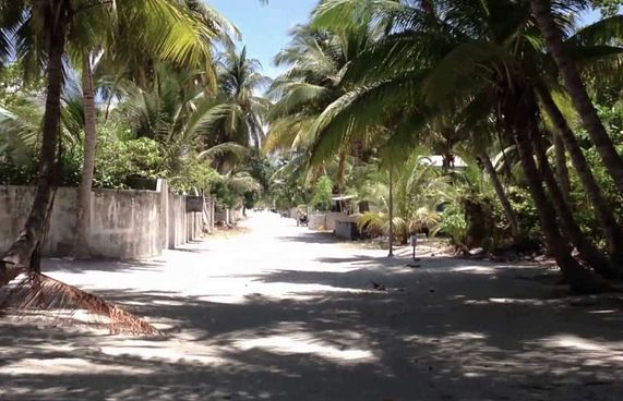 އަލިފުށީގައި ރޯގާއެއް، ސްކޫލަށް ނުދާ ދަރިވަރުން ގިނަ