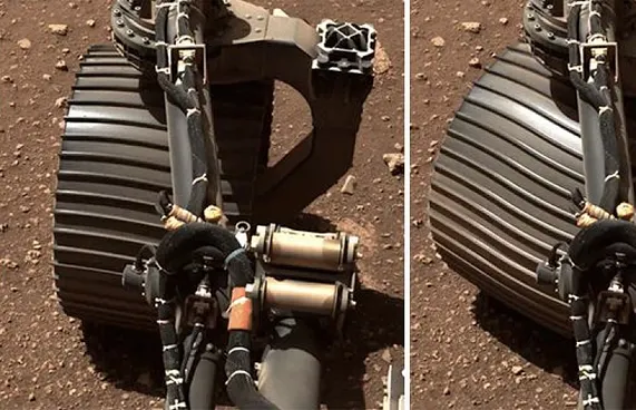 މާސްގެ އަޑު އިންސާނާގެ ކަންފަތަށް