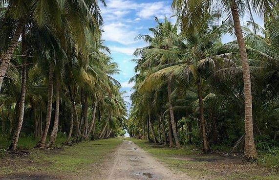 ސިހުރުގެ ތުހުމަތުގައި ބާރަށުގެ 8 ތަނެއް ފާސްކޮށްފި