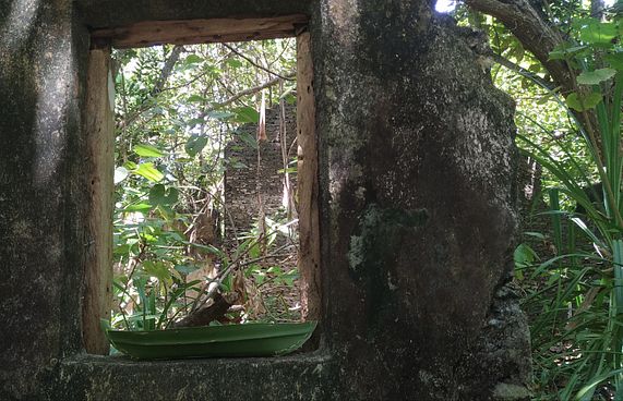 ޕިކްނިކް ދަތުރުގައި ގޮސް ވަދެވުނީ މާޒީގެ ތެރެއަށް!