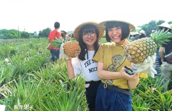 ތައިވާނުން ކަރަންޓީނު އުވާލައި ޓޫރިޒަމަށް ހުޅުވައިލަނީ