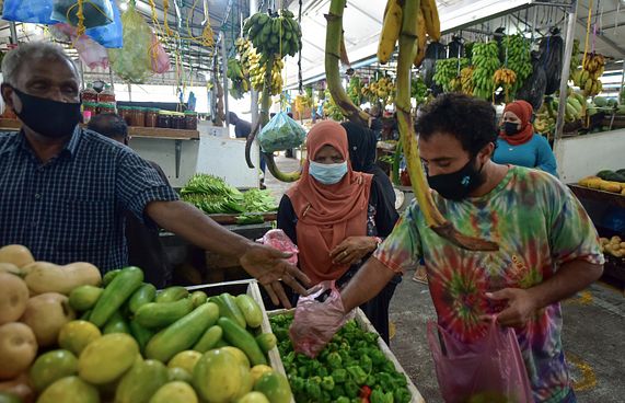 ކަނޑޫދޫ މިރުސް މިފަހަރު ވަރަށް އަގުހެޔޮ!
