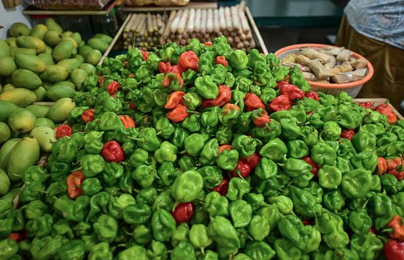 އަގުބޮޑު ކަނޑޫދޫ މިރުސް ސޭލް އަޅުވާފައި!