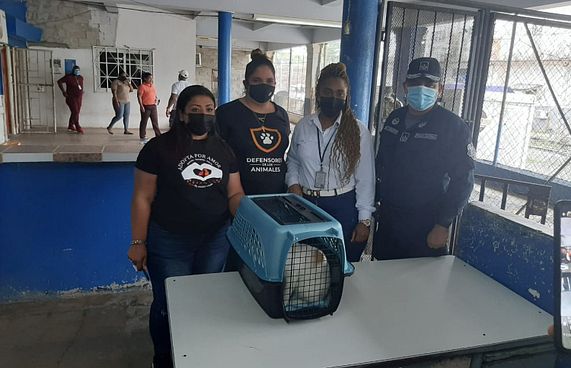 ޕެނަމާގެ ޖަލަކަށް ޑްރަގް ވައްދަން އުޅުނީ ބުޅަލެއް